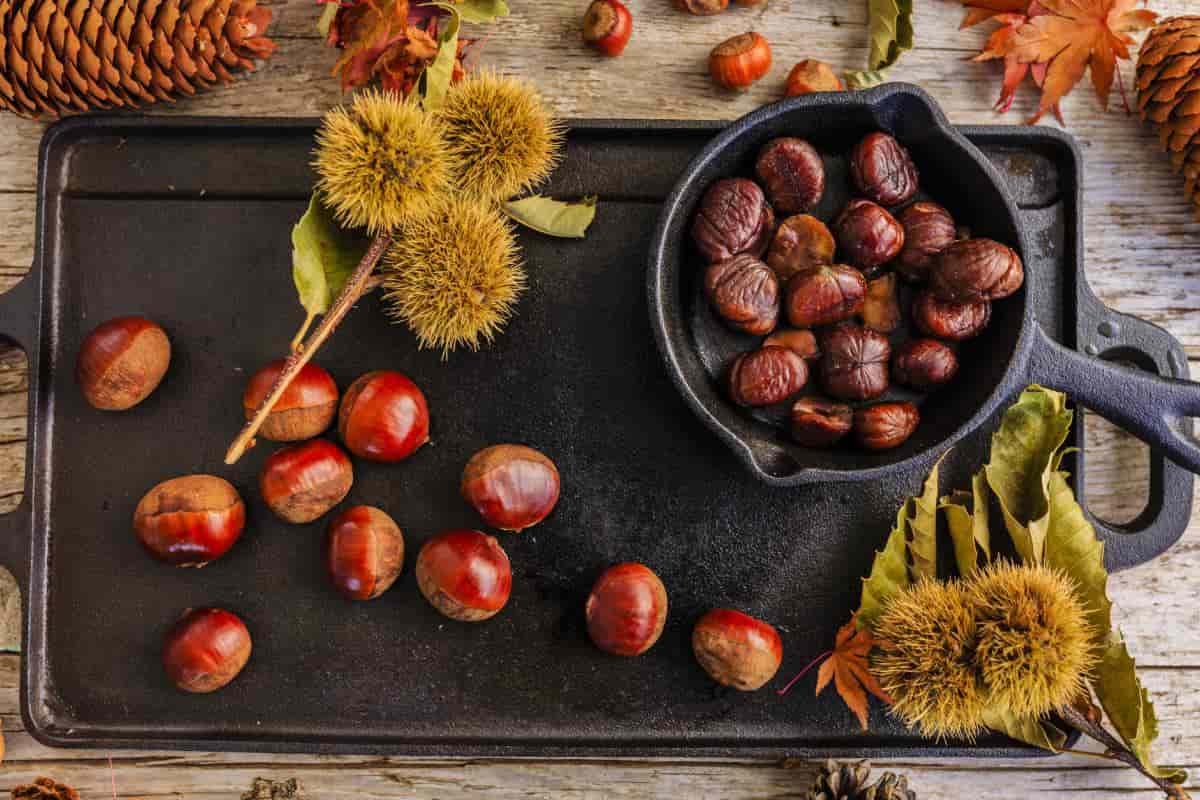 La castaña y su protagonismo en la gastronomía de otoño e invierno.