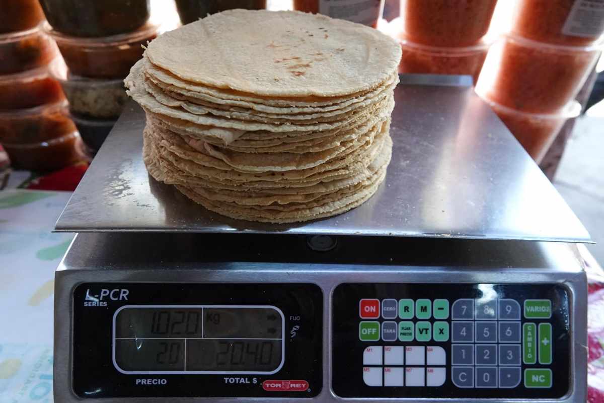 Sheinbaum buscará bajar el precio de la tortilla un 10% y así planea lograrlo