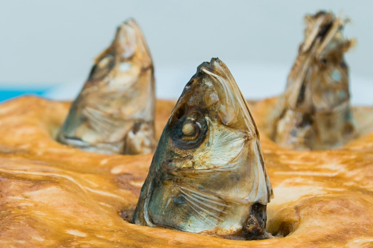 Te explico porque en este pastel británico (Stargazy Pie) los pescados miran al cielo