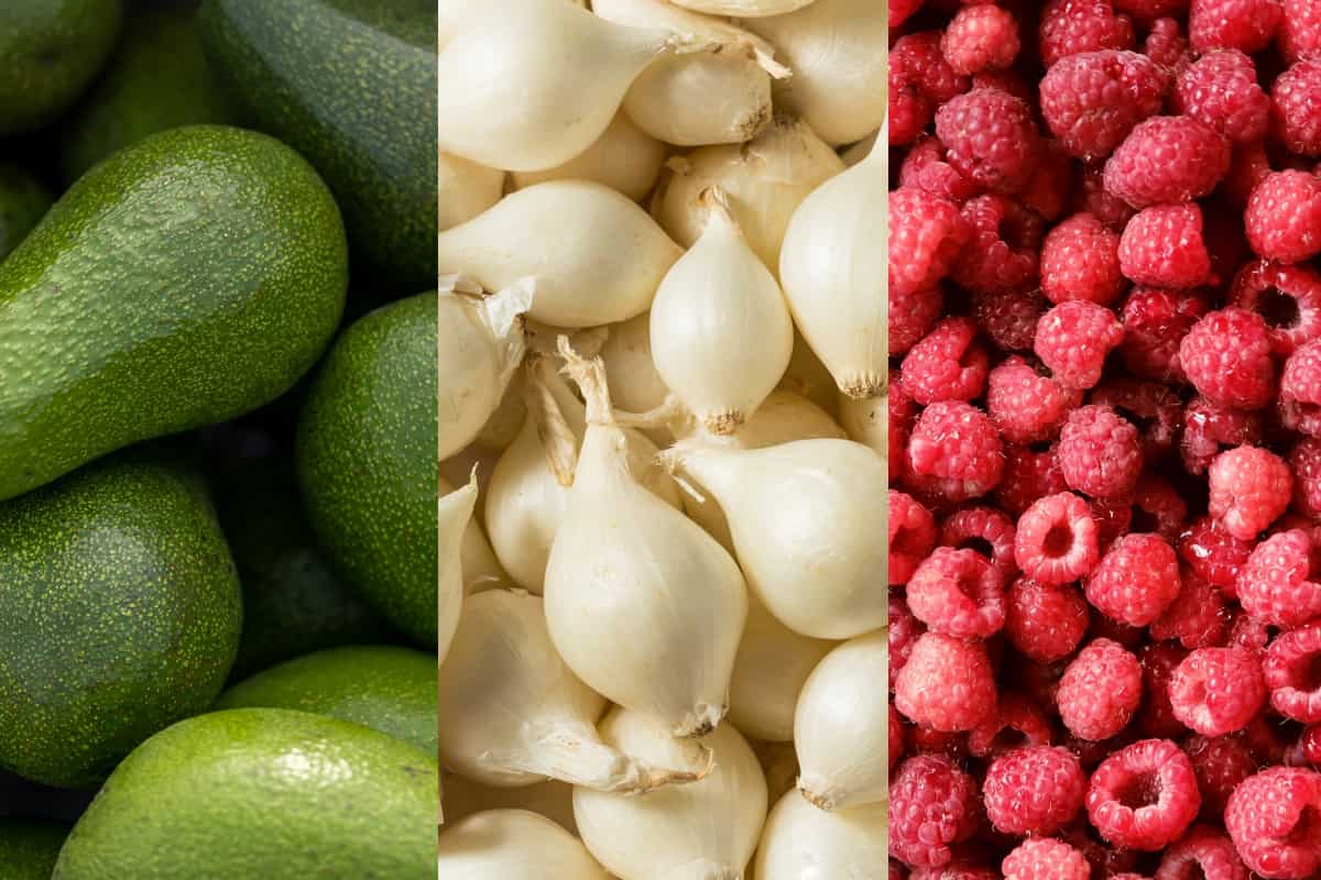 los aranceles que propone Donald Trump y que Sheinbaum actuaría en respuesta puede afectar al consumidor y los productos básicos que compramos