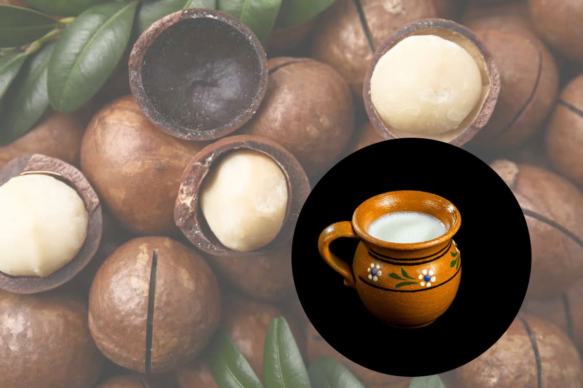 receta de atole de macadamia para el día de la Candelaria
