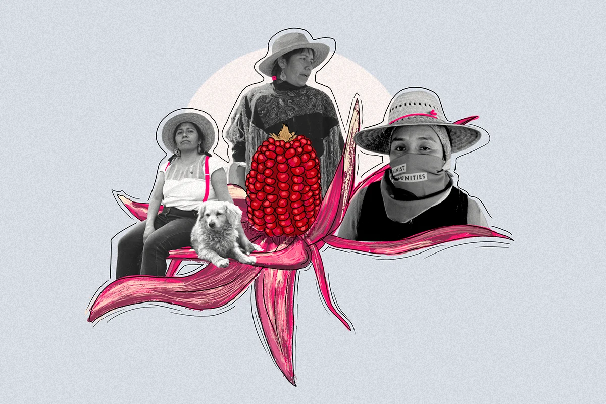 “Cocinar para nosotras es un acto revolucionario, de amor propio y amor colectivo”: Mujeres de la tierra, mujeres de la periferia