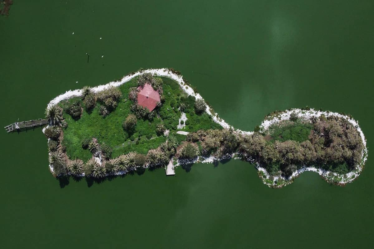 Unesco reconoce al Lago de Texcoco por conservar la biodiversidad y mejorar la calidad del agua