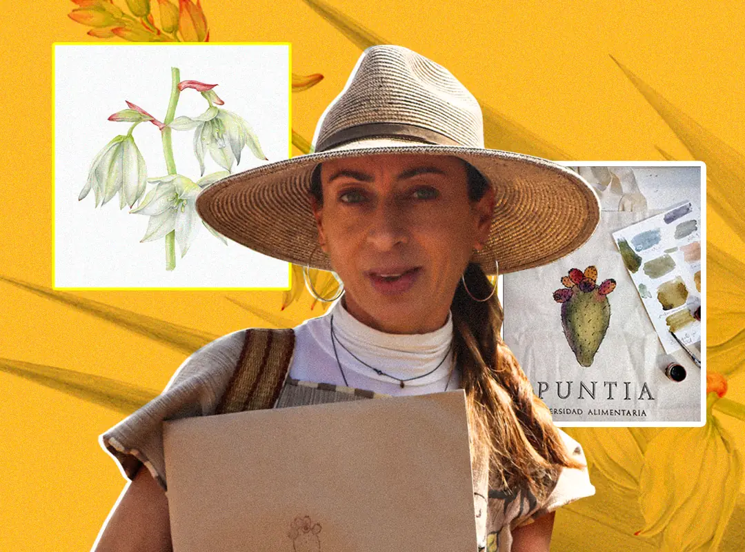 Plantas, flores y frutas: La biodiversidad alimentaria ilustrada por Opuntia