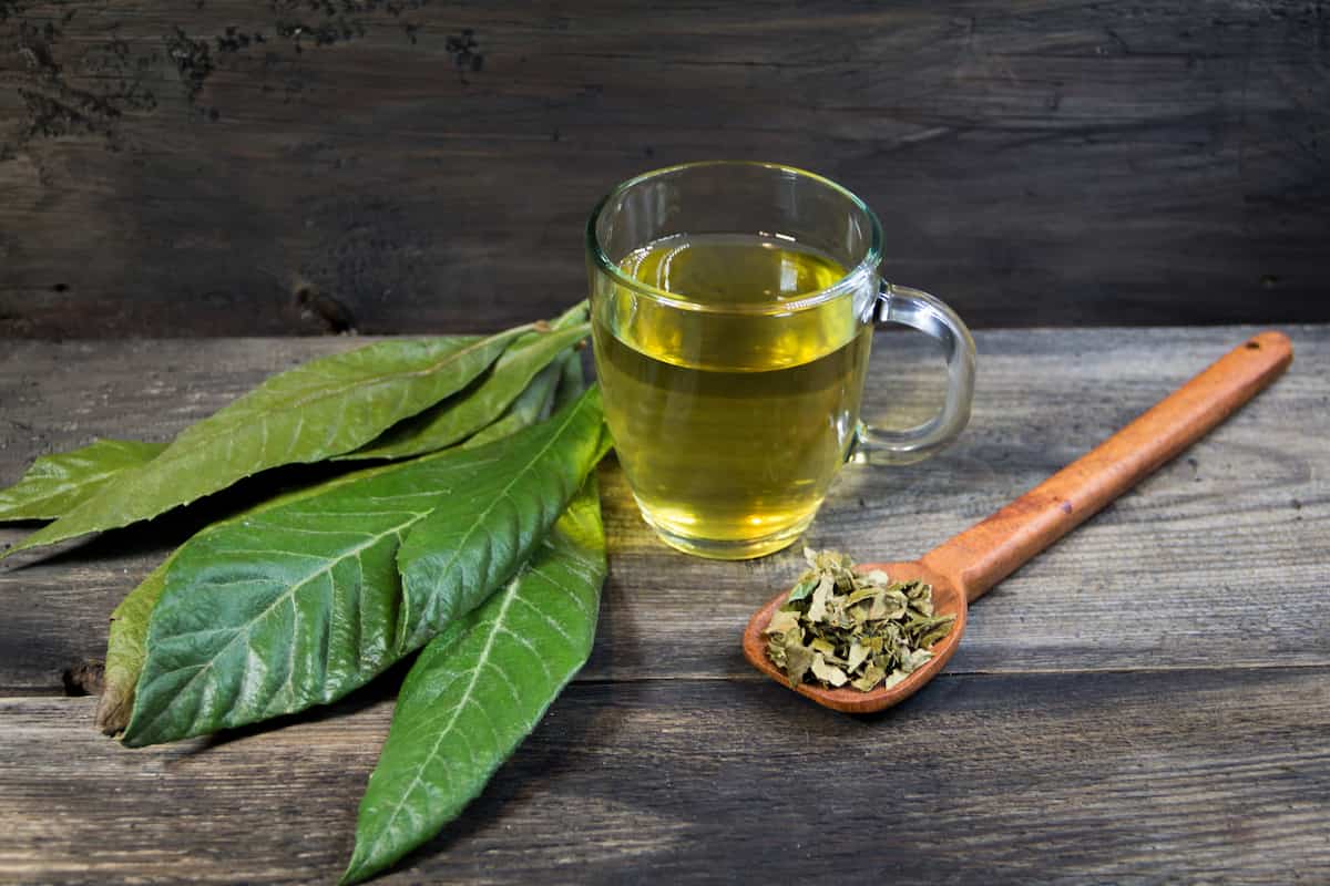 Té de níspero: la respuesta a ¿cómo controlar la glucosa de forma natural?