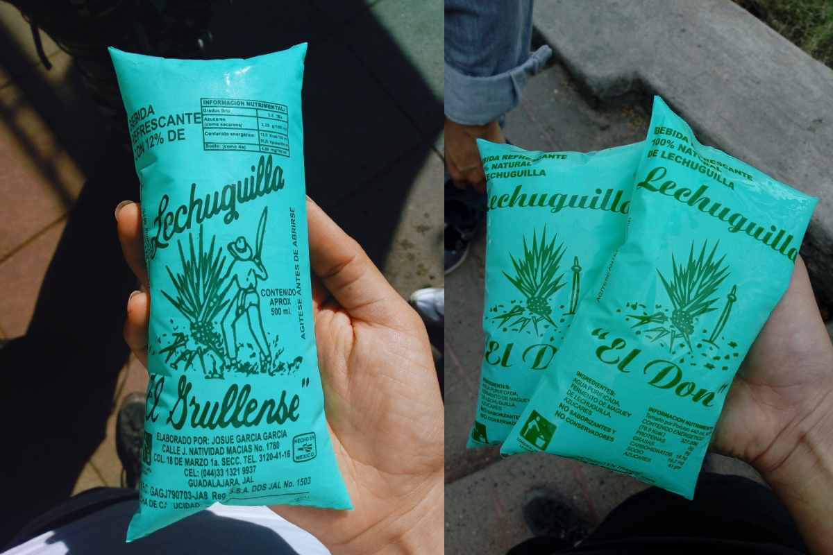 Conoce las lechuguillas, bebida fermentada de agave sin alcohol