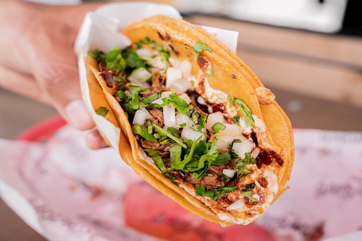 Feria del Taco Zinacantepec 2025: Todo lo que debes saber para probar desde los clásicos hasta de cucaracha