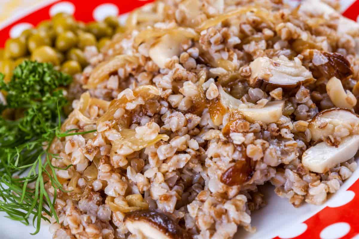 Caviar mexicano: conoce el ahuautle, un manjar prehispánico de Cuaresma