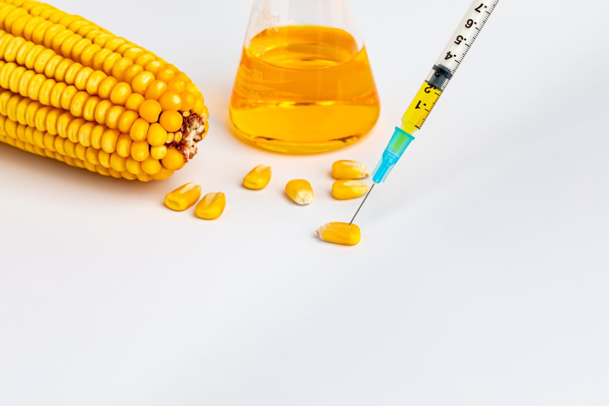 Usos alternativos del maíz fuera de la cocina