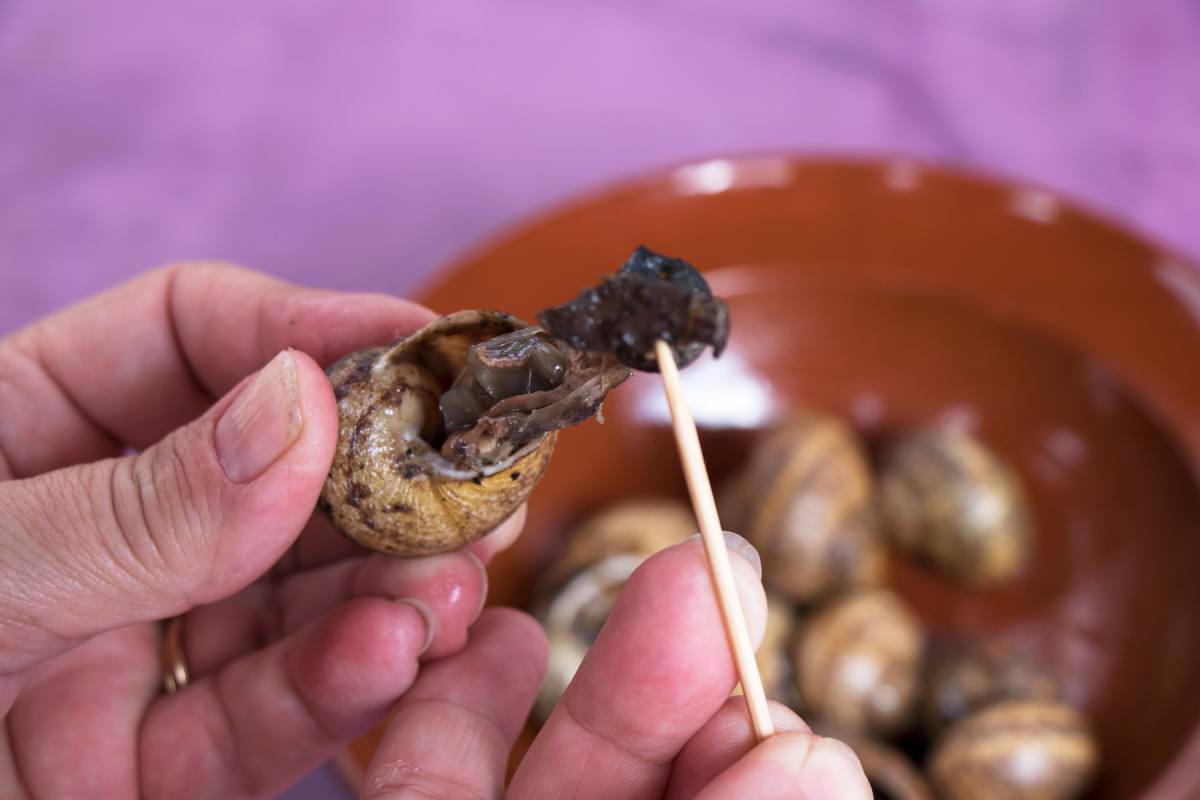 caracoles en la comida prehispánica