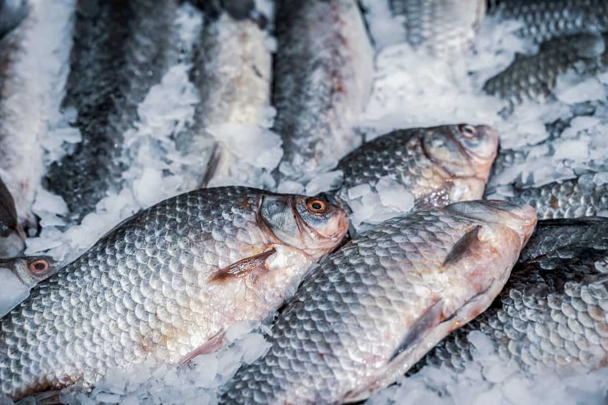 7 alimentos con litio para evitar el Alzheimer, según Harvard