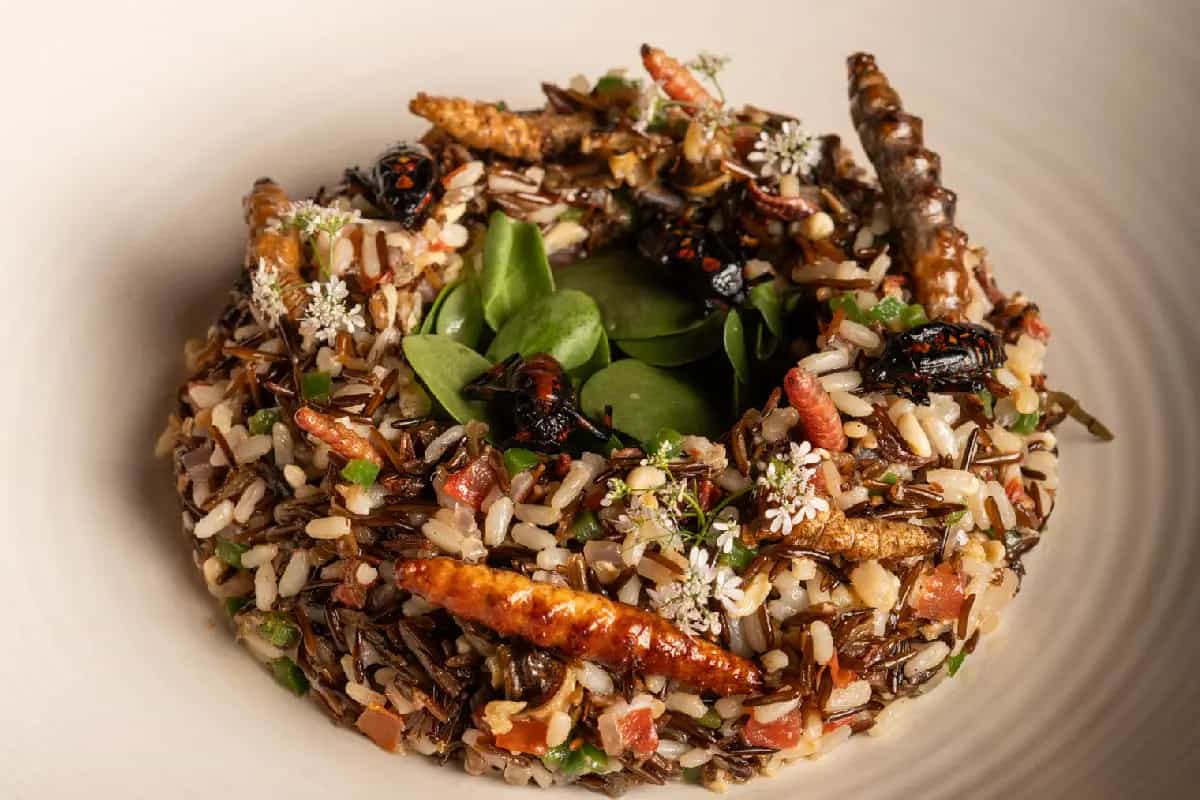 Viscosos y bien sabrosos… lánzate al Festival de los Bichos de Los Danzantes