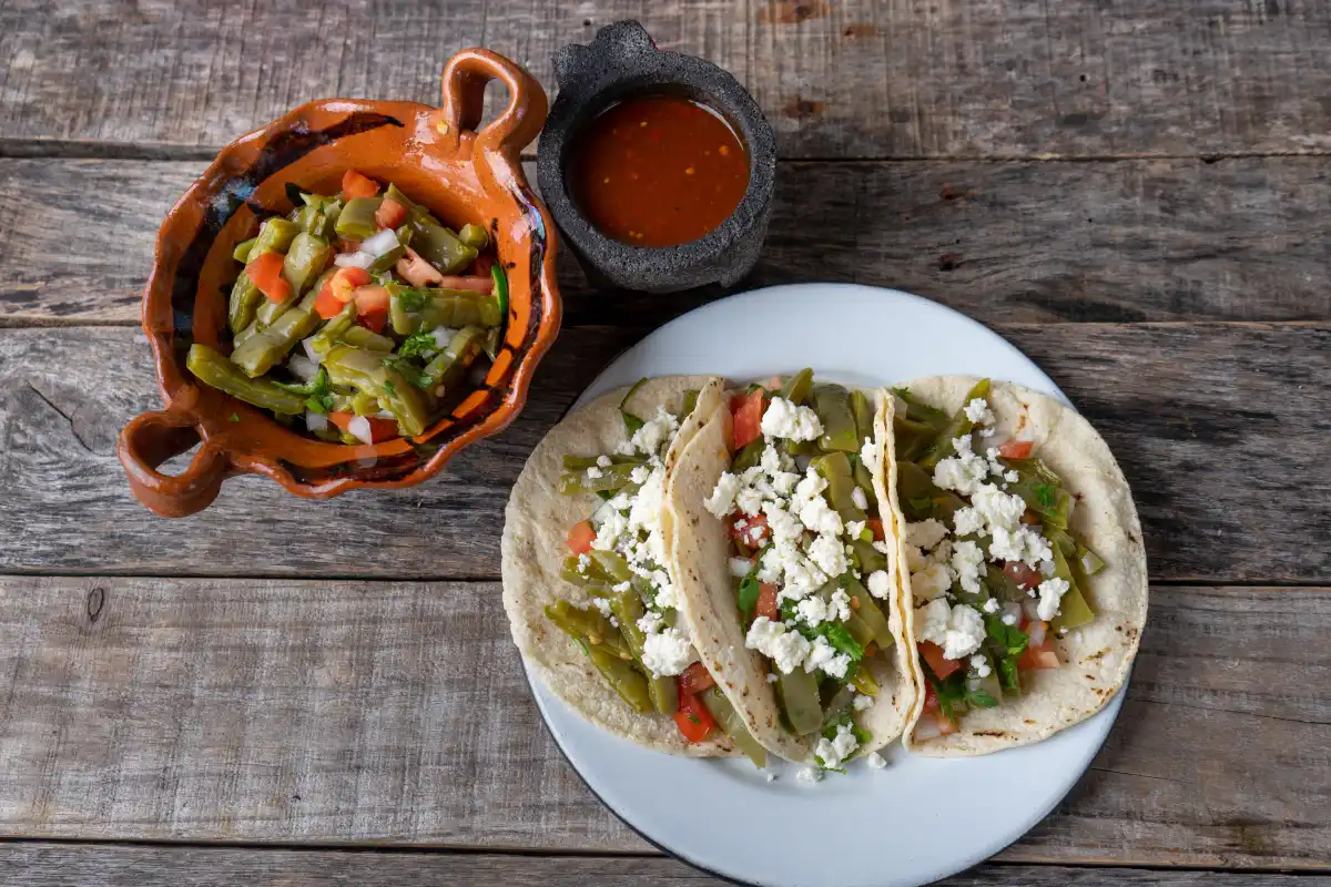 ¿Estás en CDMX? Lánzate al Festival Gastronómico “El Reino Vegetal” para probar platillos hechos con cactáceas