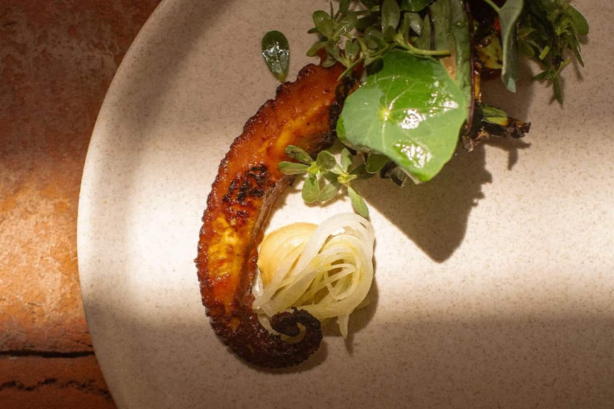 Este es el restaurante escondido en Polanco que destaca por su sabor cosmopolita y amor por el producto