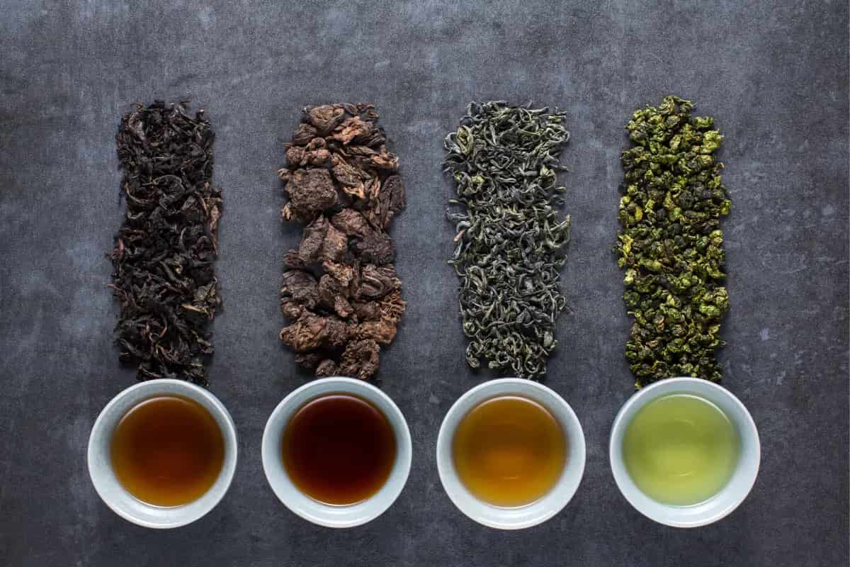 El té nuestro de cada día, una guía fácil y práctica para principiantes