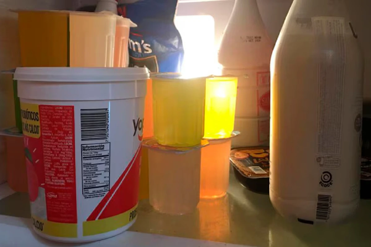 Guardar comida en botes de yogur puede ser peligroso, esto dice la Profeco