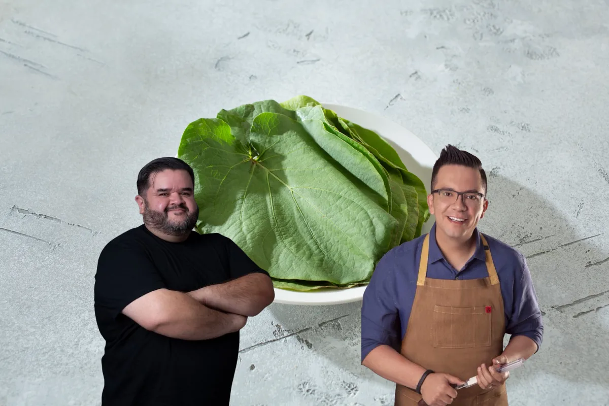 La hoja santa cruda no es tóxica, lo explica el chef José Ramón y el científico Rafa Carbajal
