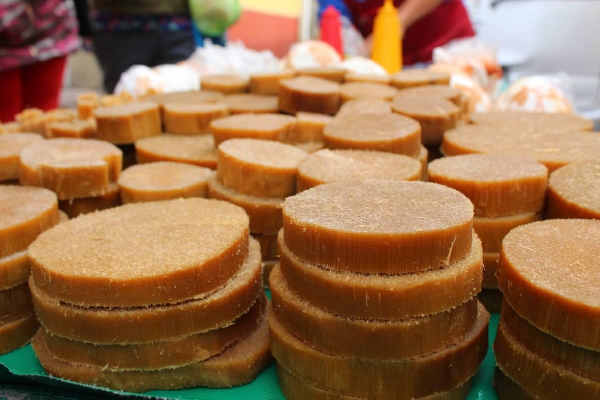 Mucho más que pulque, este es el dulce típico que da el ancestral quiote