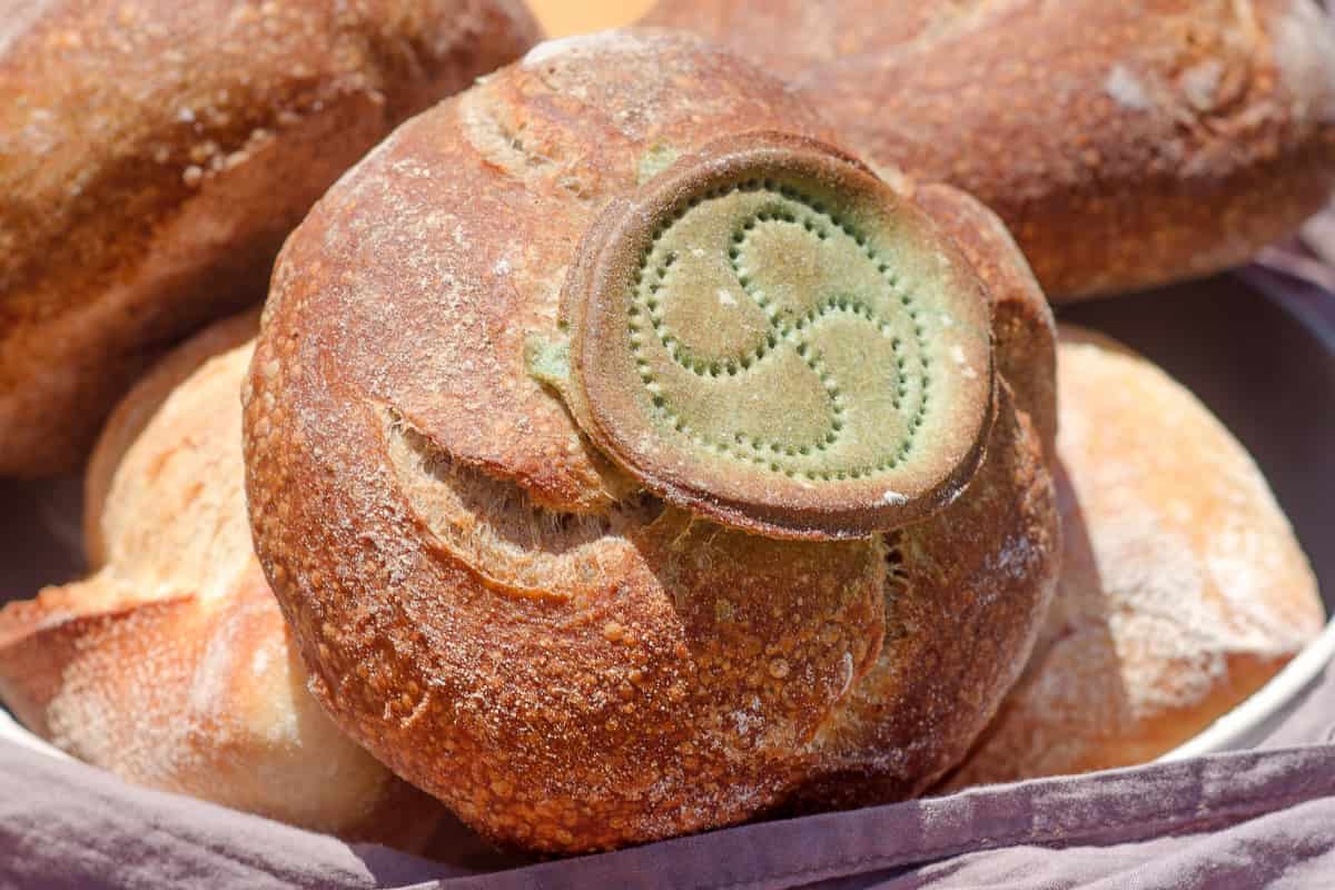 ¡¿Pan con harina de grillo?! ¿Por qué deberías comerlo? Esto es lo que debes saber