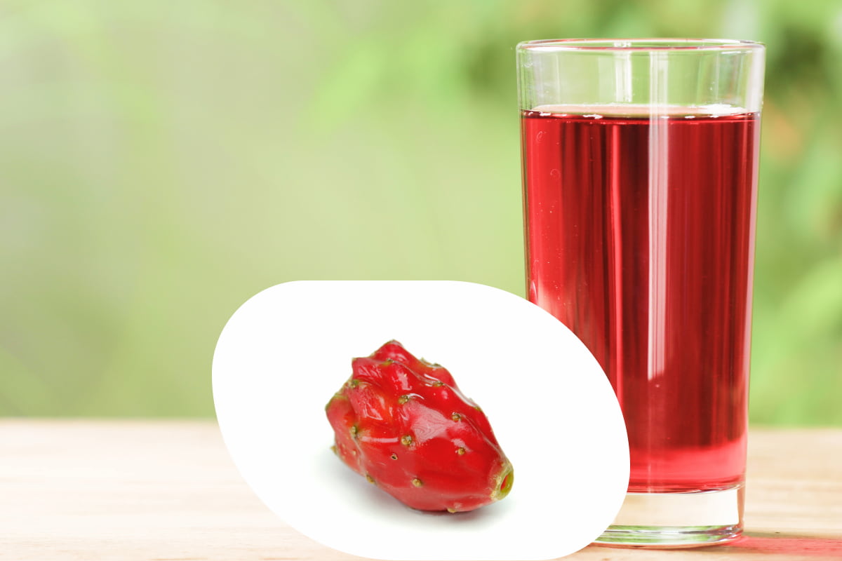 colonche bebida de San Luis Potosí