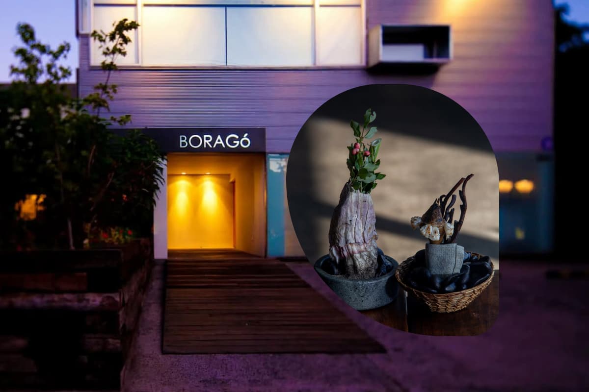Boragó: laboratorio vivo que experimenta y transforma los productos chilenos con una cocina profundamente local