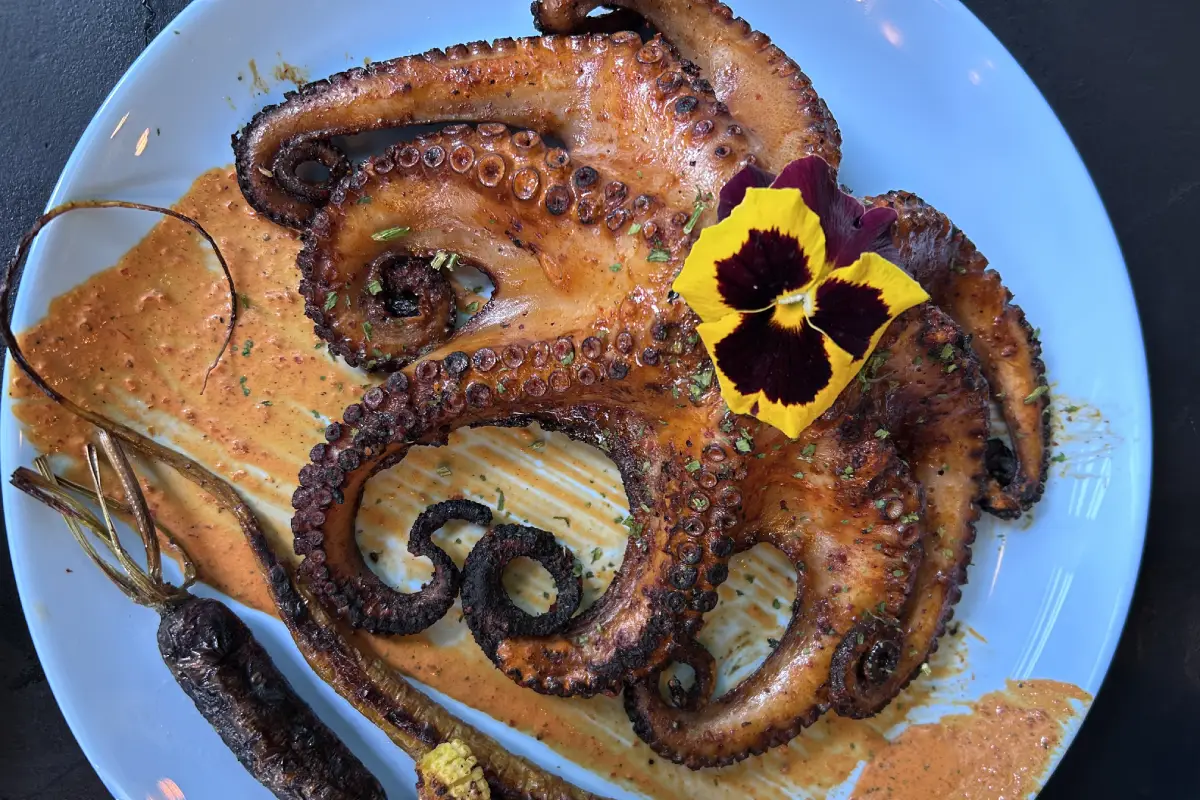 Mariachito Insurgentes: Donde el sabor de México canta con el mariachi de Juan Gabriel