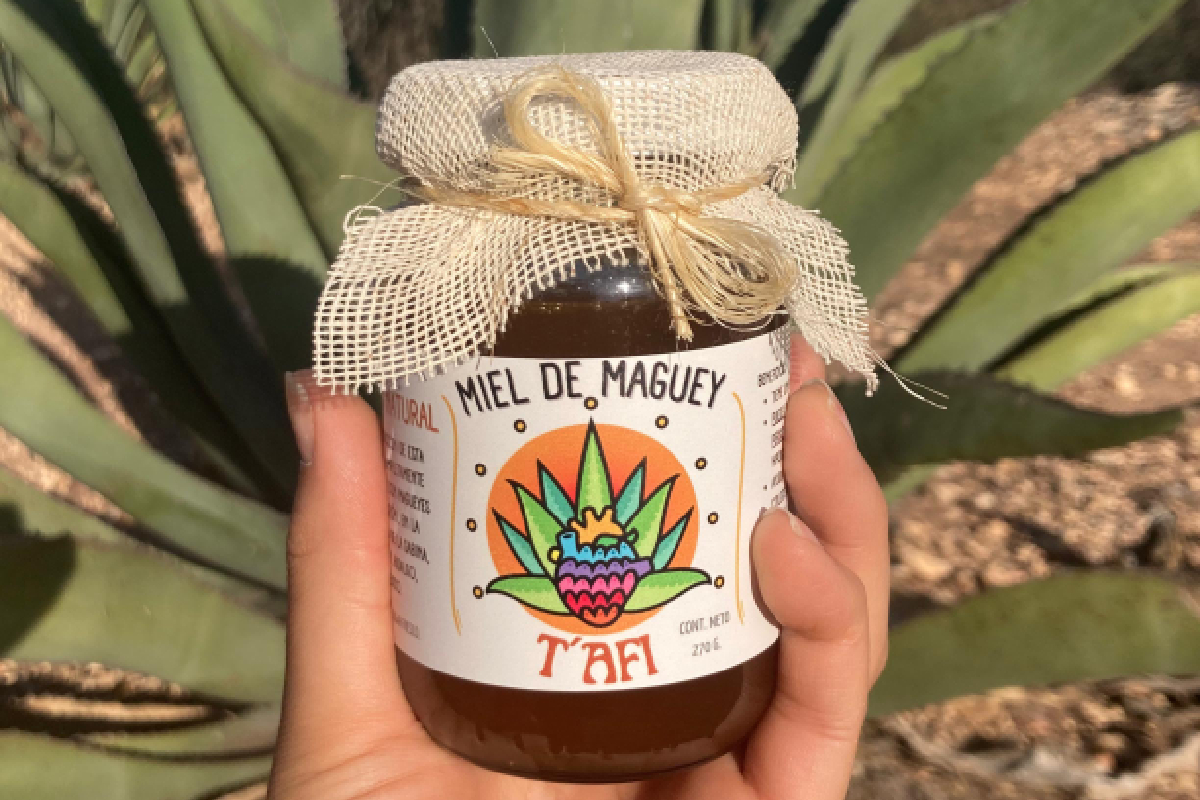 Descubre los beneficios de la miel de maguey pulquero: rica en proteínas, minerales y antioxidantes