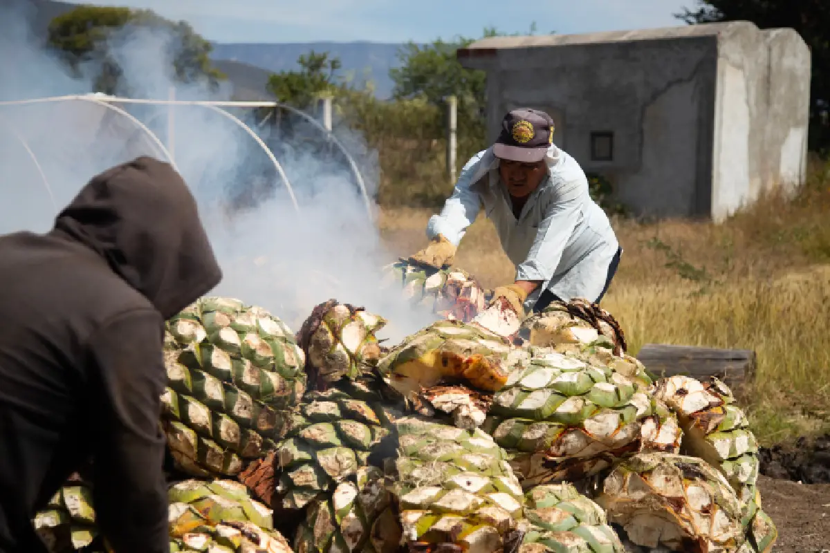 Destilado con energía solar