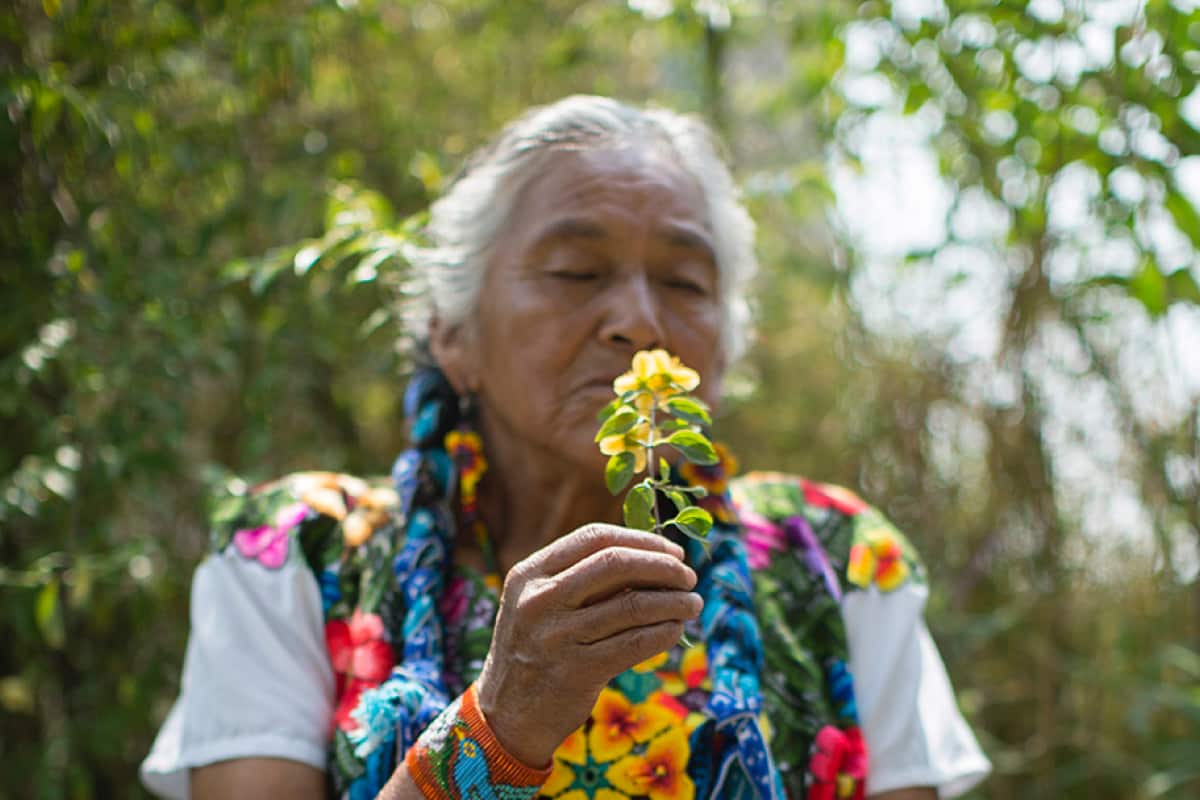 Amalia Salas: la gran guardiana del maíz y las chinampas