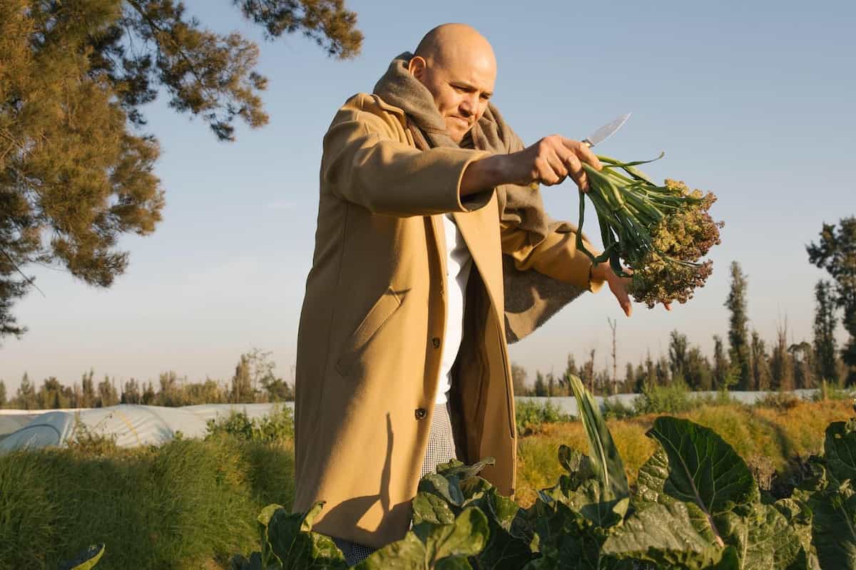 De ser deportado a ser una estrella nacional: el chef que prueba que se puede volver a casa (y triunfar)