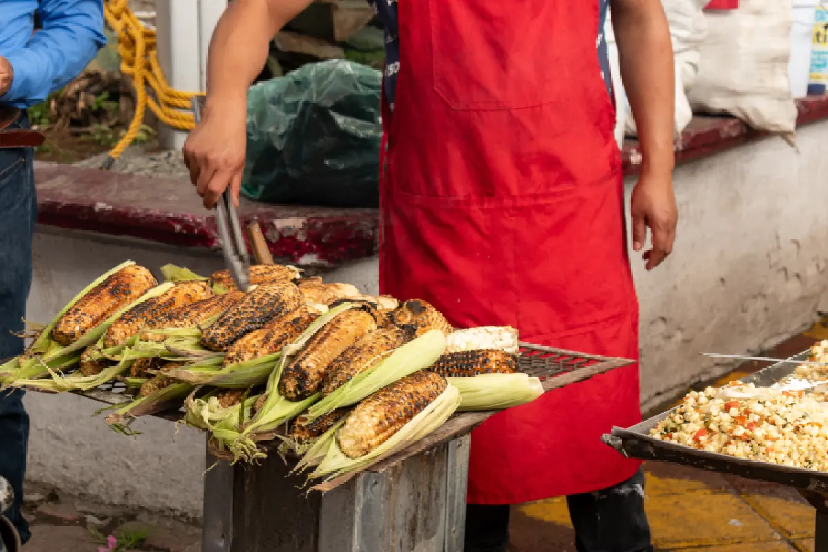 Elotiza en la Feria del Maíz y la Agrobiodiversidad 2025