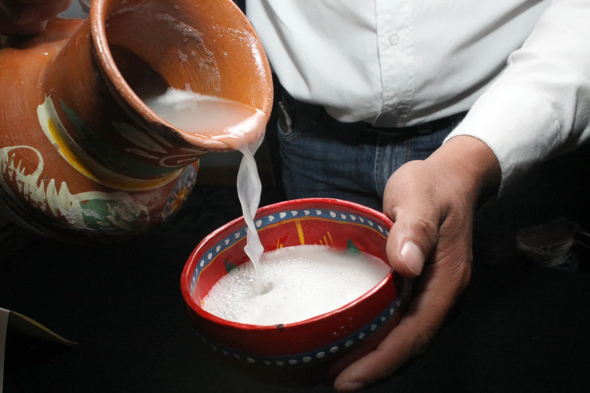 Feria del Pulque 2025: El pretexto ideal para festejar el Día de Muertos en Puebla