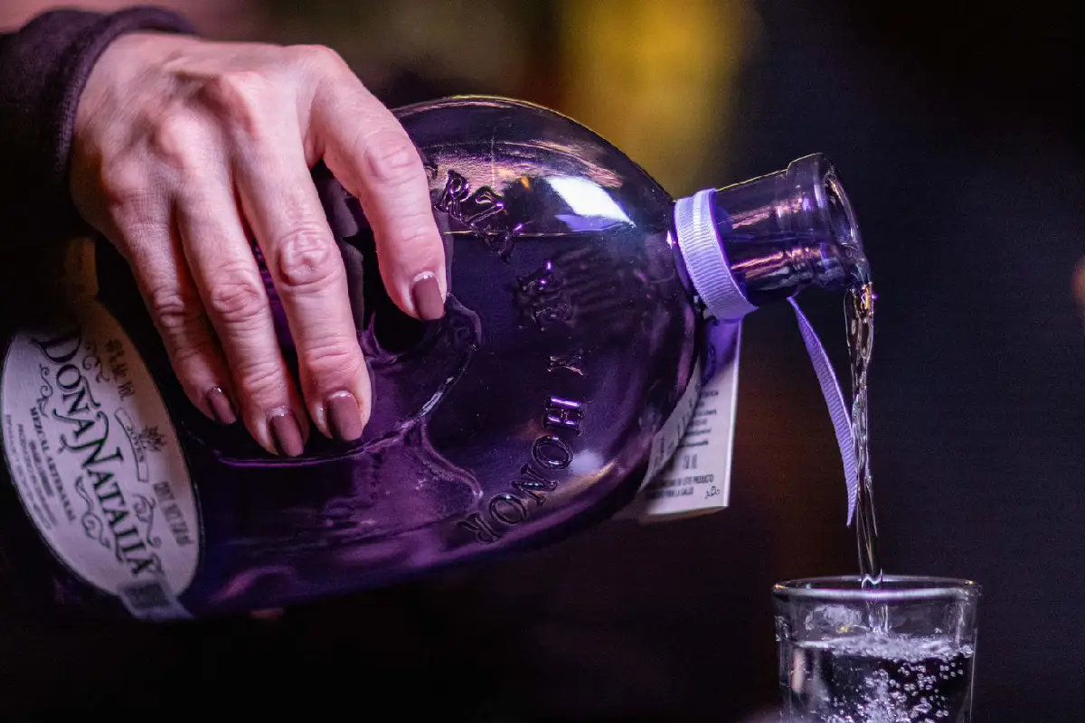 En Durango también se hace mezcal: estos son los agaves detrás de los destilados del norte