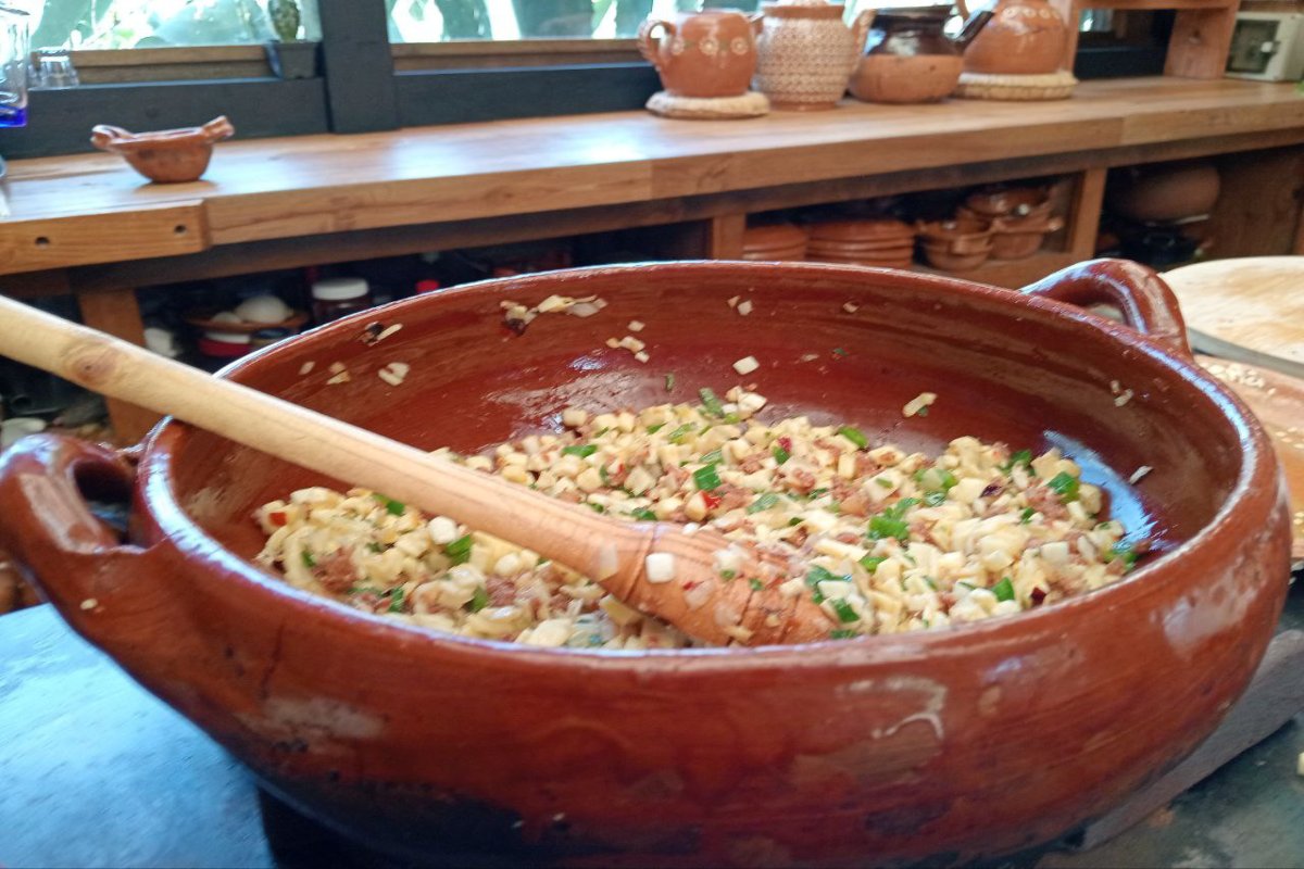 Huevo de maguey: El platillo ancestral que el maguey solo da una vez en su vida