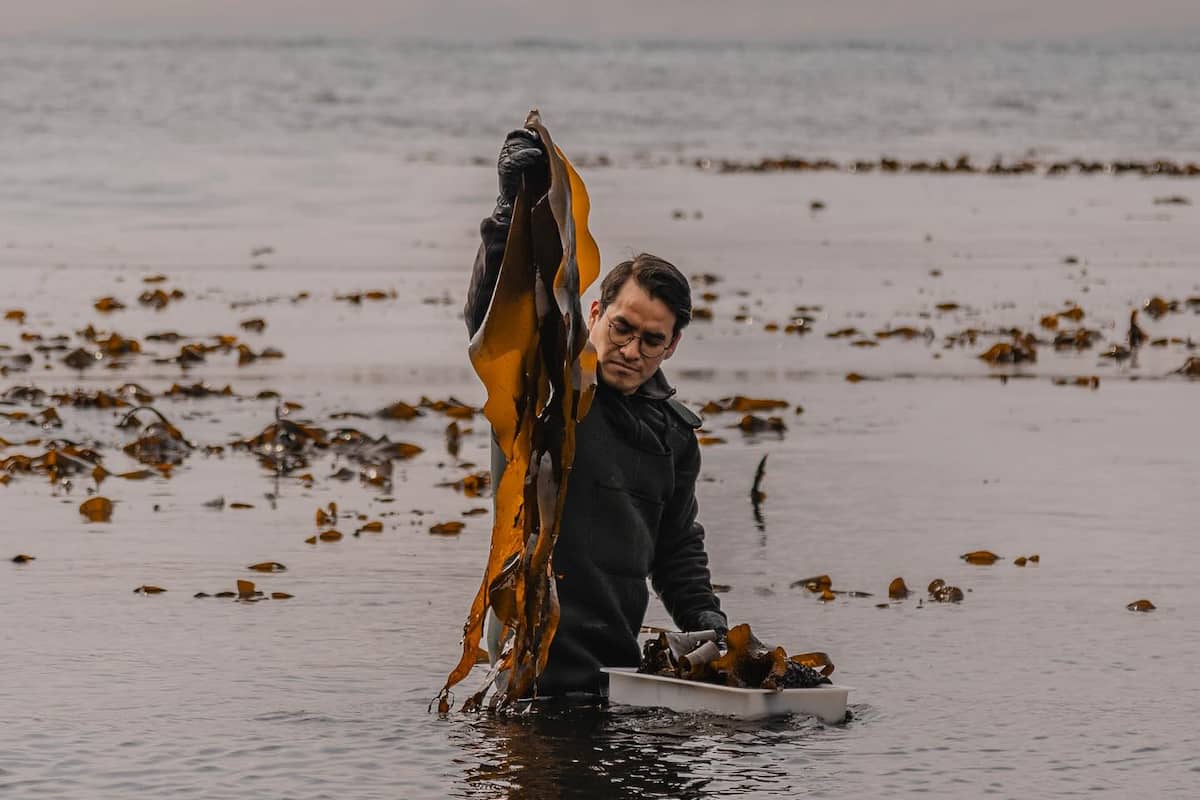 El chef mexicano que cocina en un país de 55 mil habitantes, casi en el fin del mundo a 8 mil kilómetros de casa