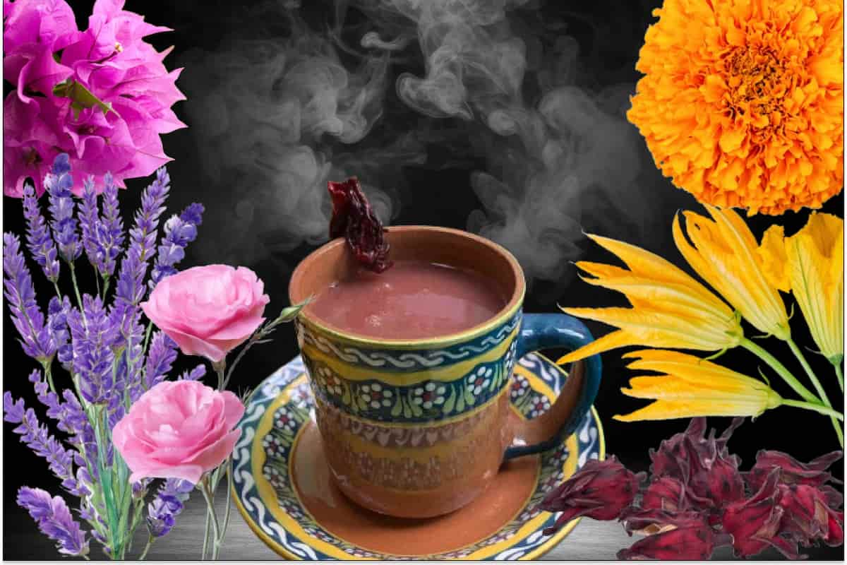 Pétalos y maíz: 5 atoles con flores que mejoran tu salud para la dura temporada de frío