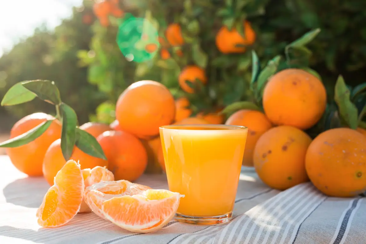 Beneficios del jugo de mandarina, todo sobre esta fruta reina de la temporada invernal