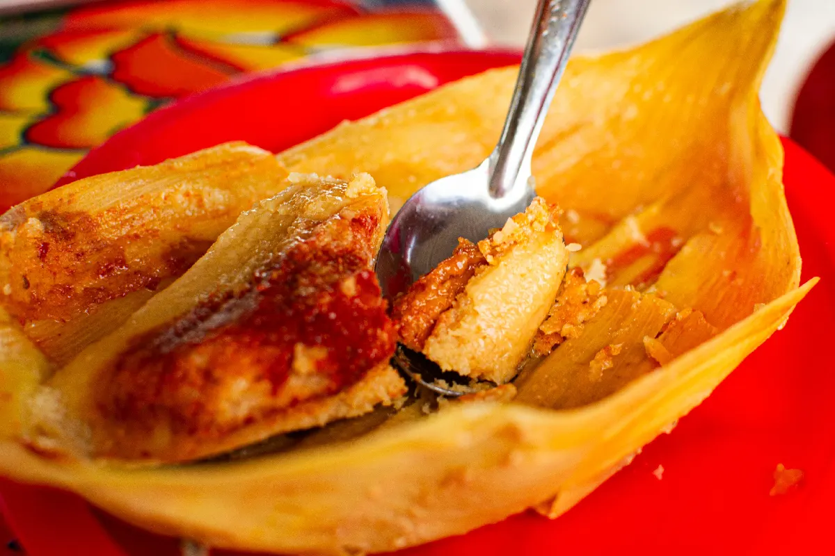 Tamales rojos al estilo de Querétaro con queso y chile ancho, receta de Yuri de Gortari