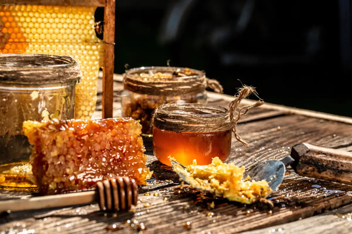 Estos son los tipos de miel de abeja de la Península (Yucatán, Campeche y Quintana Roo)