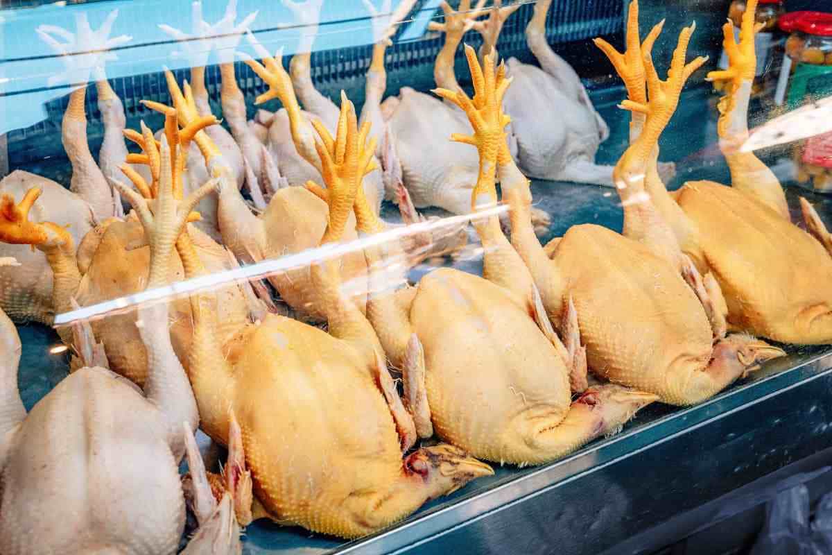 Patitas de pollo: el tesoro oculto del colágeno natural.