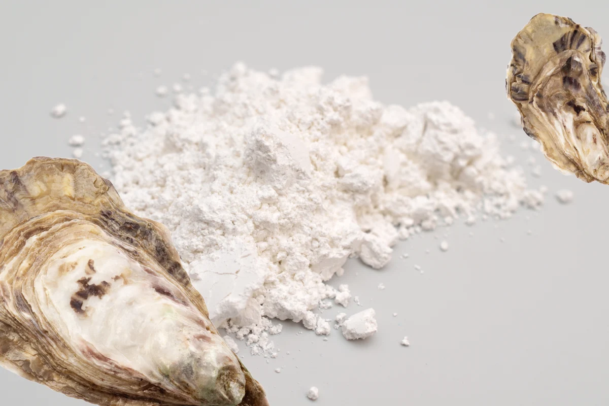 Cal de ostión usada por los Mayas para el proceso  de nixtamalización que se extinguió por la industria