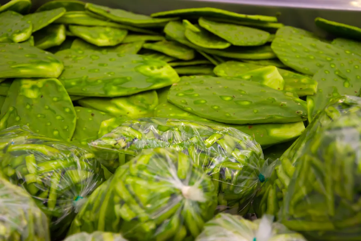 Nopales limpios y enbolsados para su venta en el mercado.