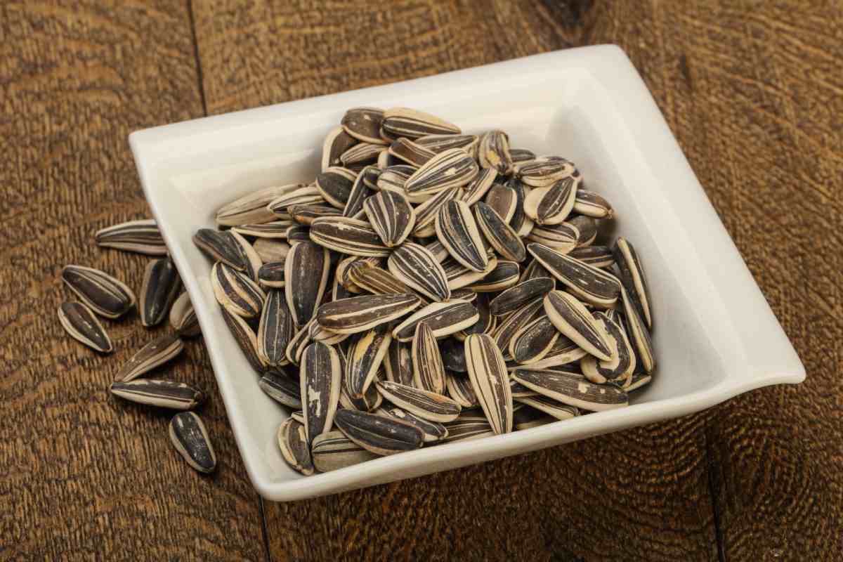 Semillas de Girasol: propiedades, beneficios y cómo incluirlas en tu dieta