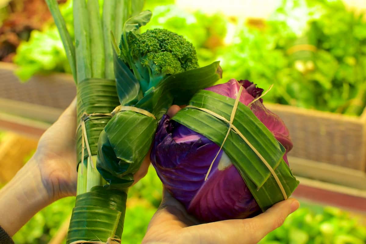 Tailandia busca reemplazar bolsas de plástico por hojas de plátano: una revolución nacional que está por comenzar