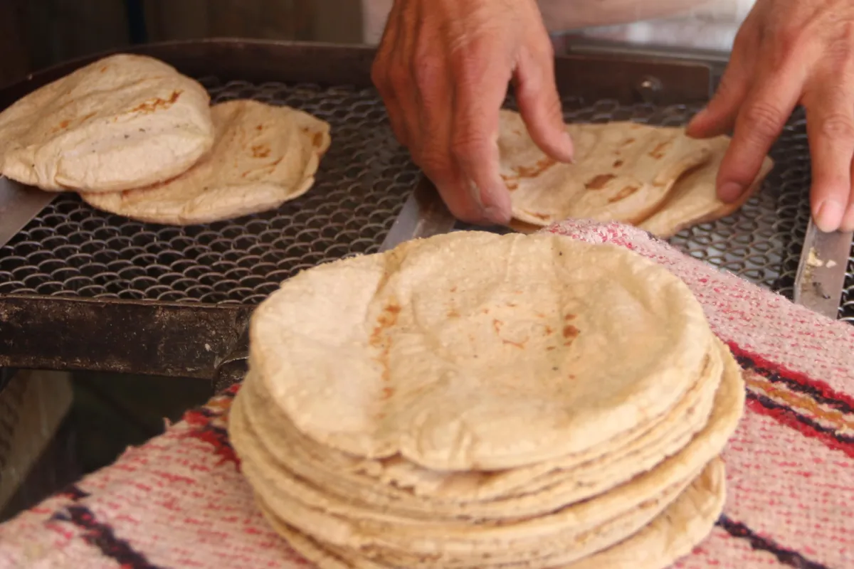 Maíz nativo a domicilio: Cómo hacer pedidos en la primera tortillería comunitaria de CDMX